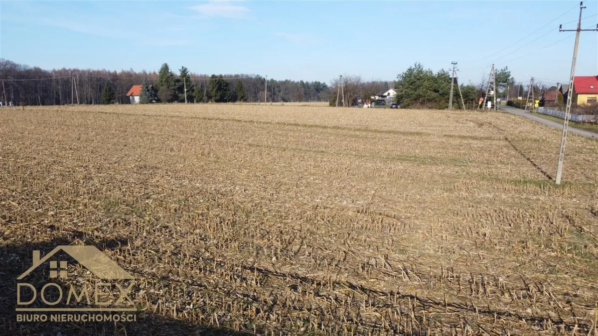 Działka 1150 m² - Dębowiec - zdjecie 3