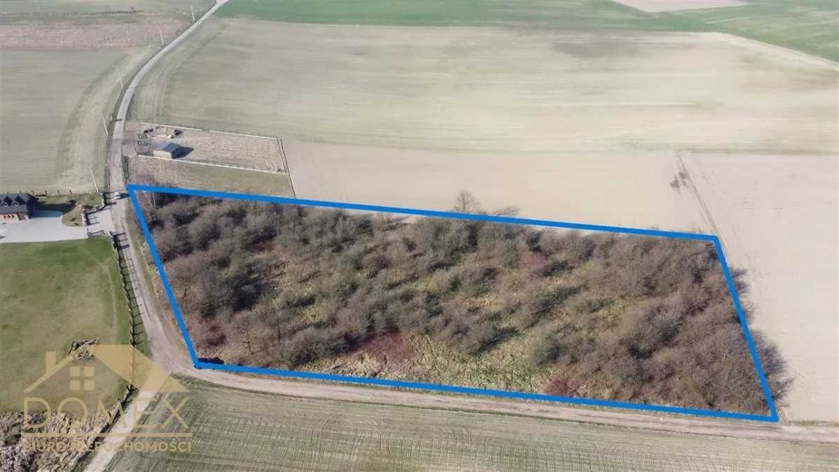 Działka 7500 m² - Gaszowice, Czernica - zdjecie 3