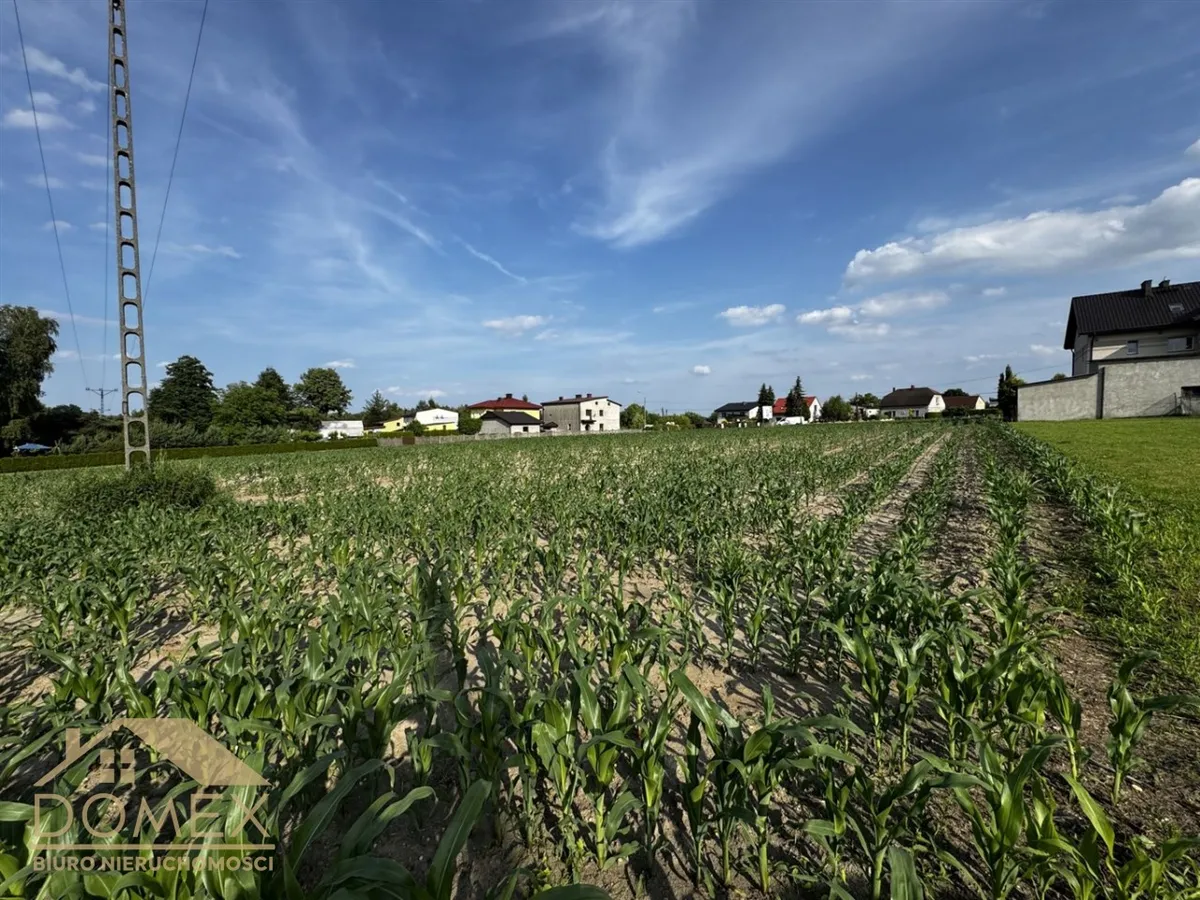 Działka 5988 m² - Gorzyce - zdjecie 2