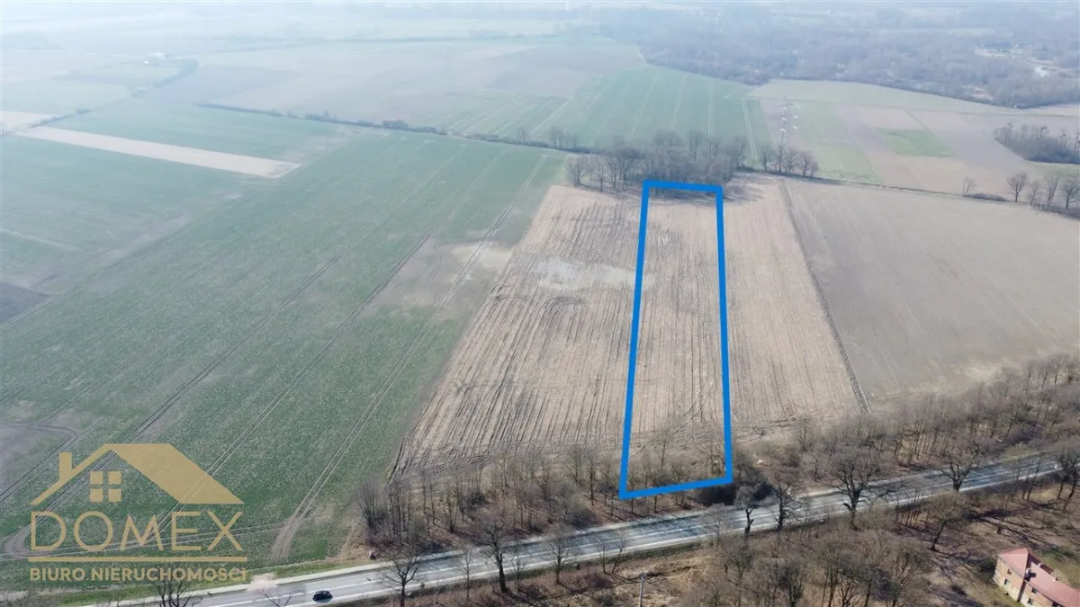 Działka 17000 m² - Gorzyce - zdjecie 2