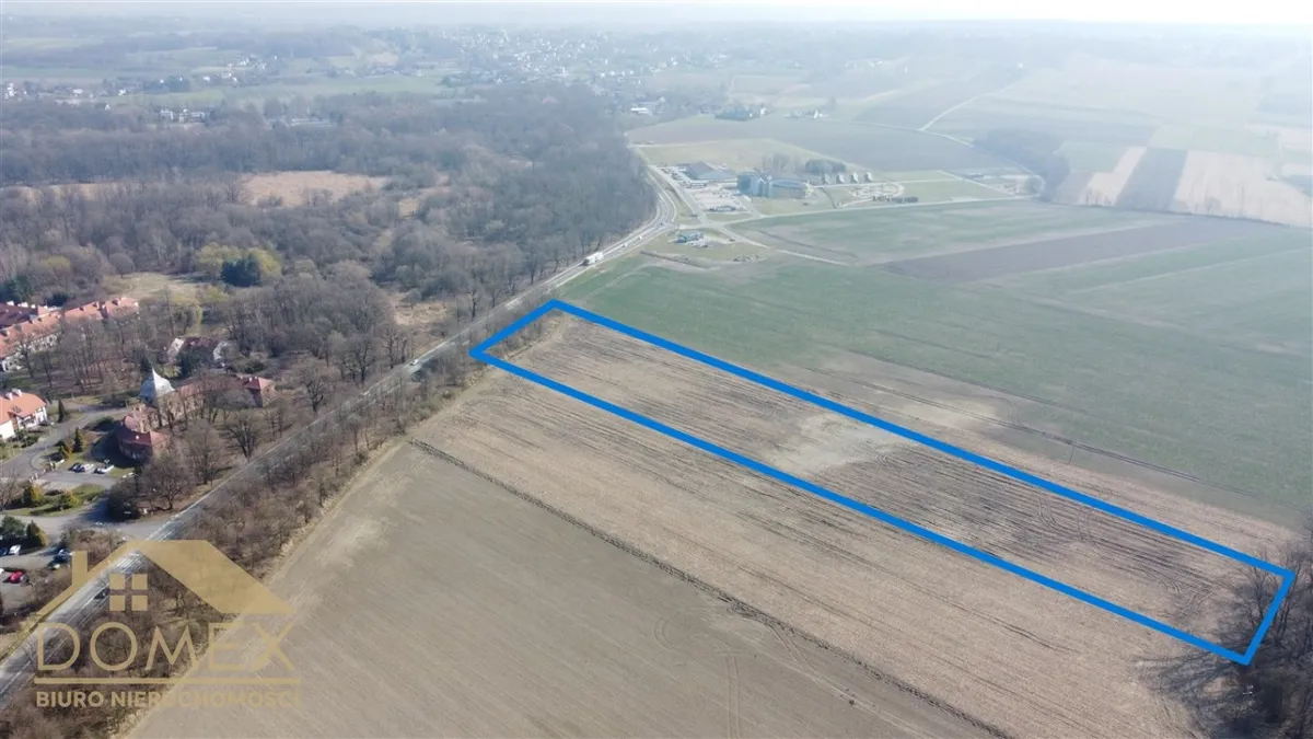 Działka 17000 m² - Gorzyce - zdjecie 3