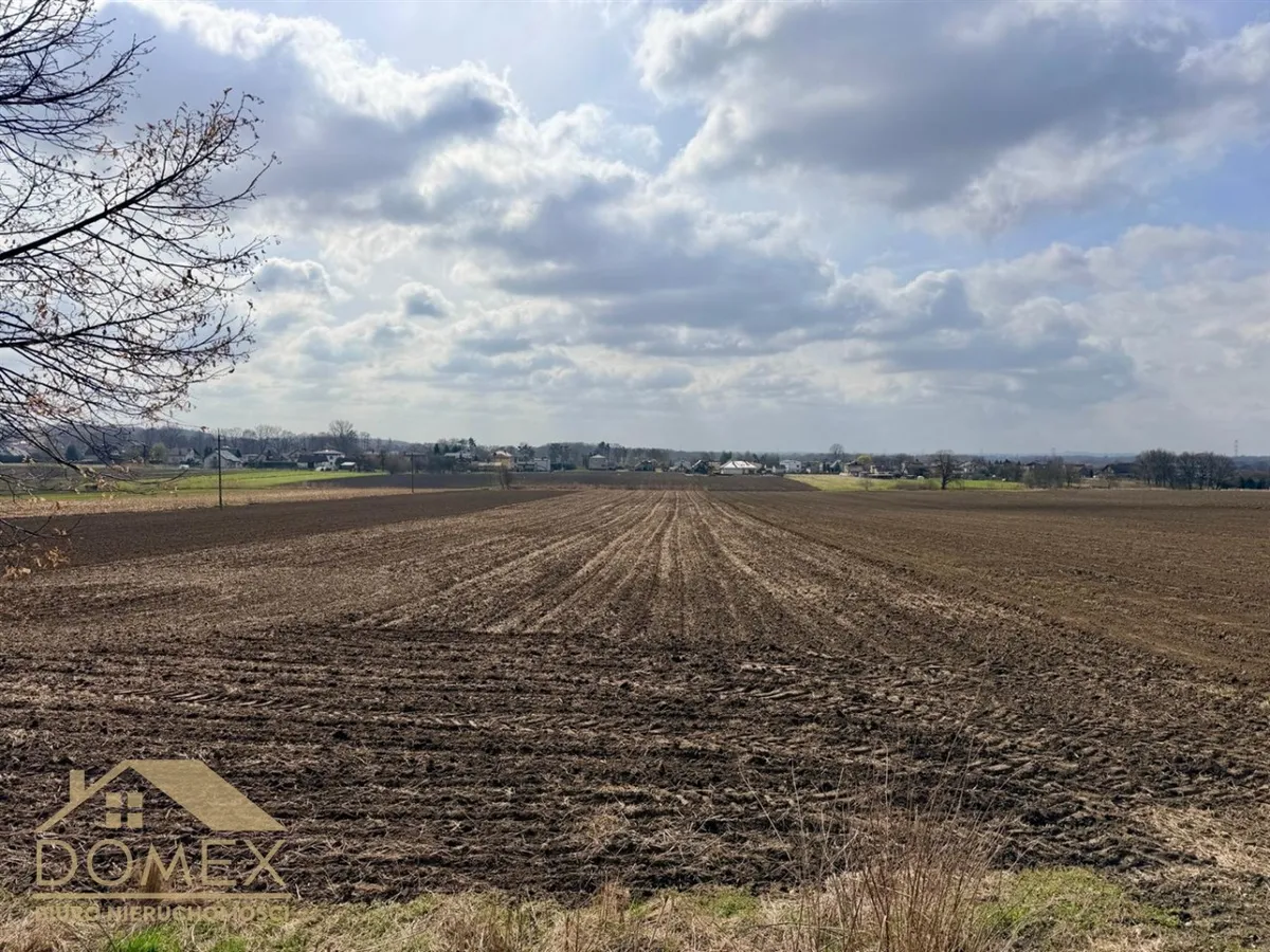 Działka 10730 m² - Gorzyce, Bełsznica - zdjecie 2
