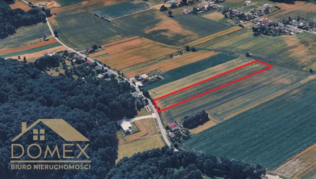 Działka 10730 m² - Gorzyce, Bełsznica - zdjecie 3