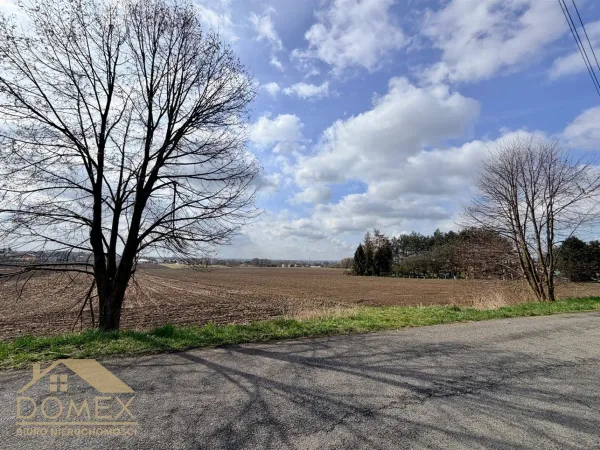 Działka 10730 m² - Gorzyce, Bełsznica