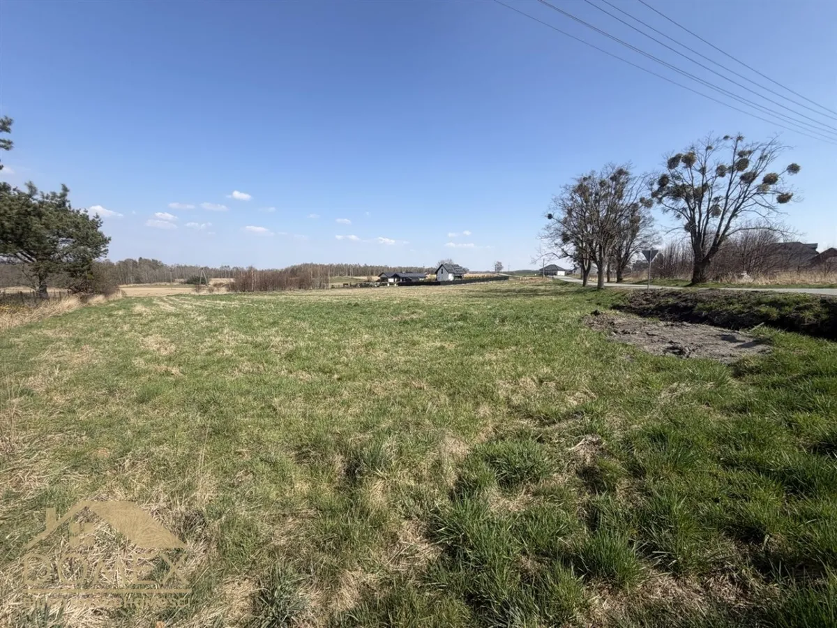 Działka 4869 m² - Kornowac, Łańce - zdjecie 3