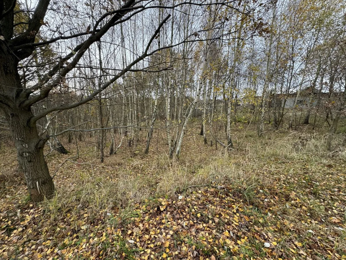 Działka 1260 m² - Mszana