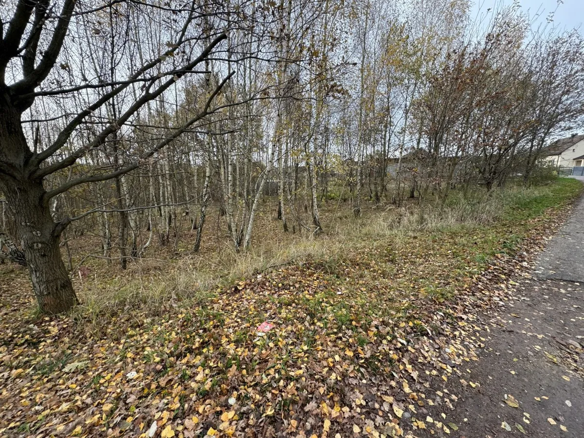 Działka 1260 m² - Mszana - zdjecie 2