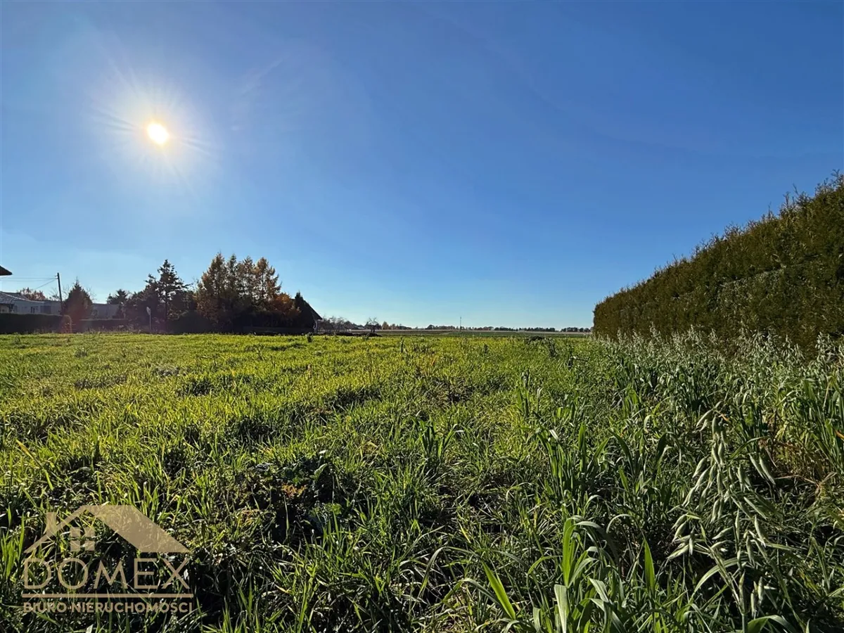 Działka 989 m² - Pszczyna - zdjecie 2