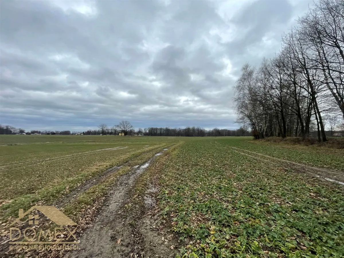 Działka 6500 m² - Strumień (gw), Zabłocie - zdjecie 3