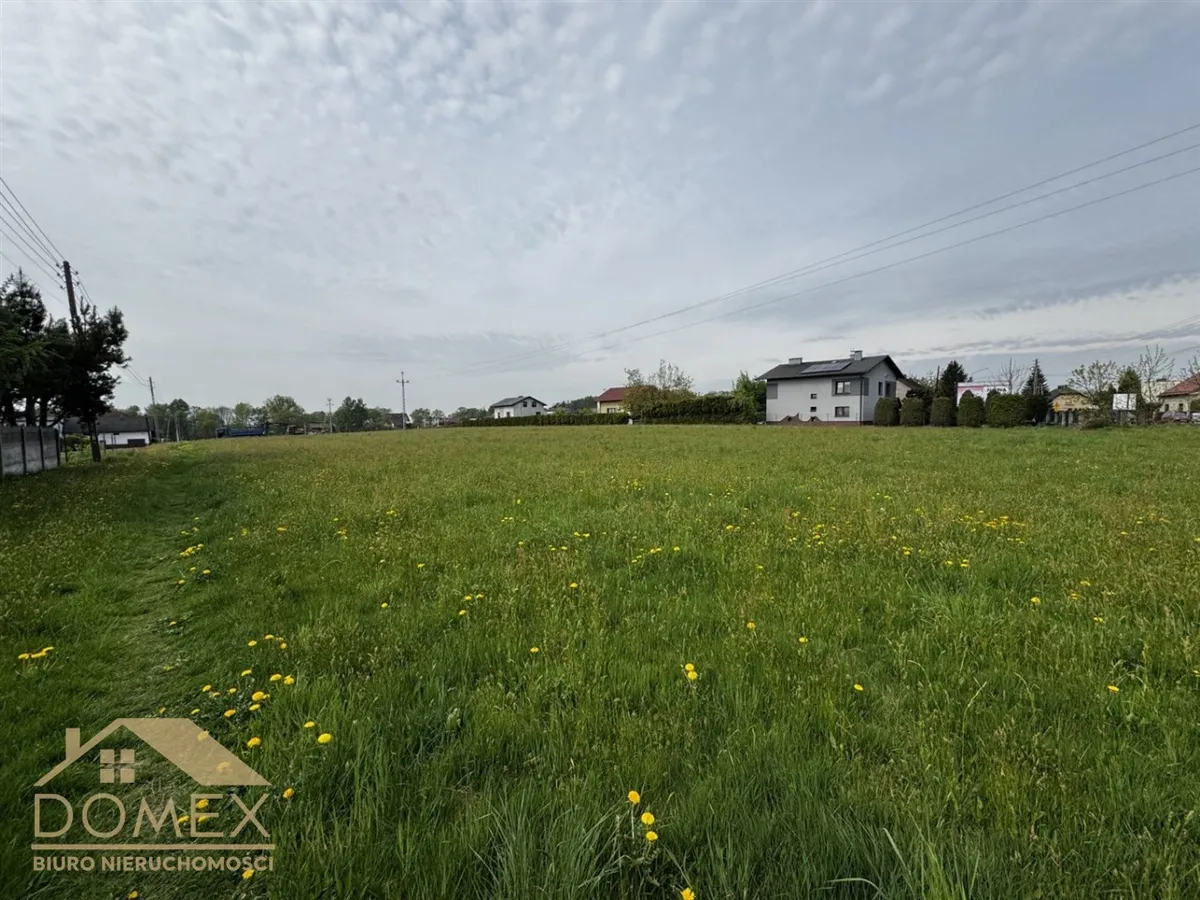 Działka 7530 m² - Wodzisław Śląski - zdjecie 2