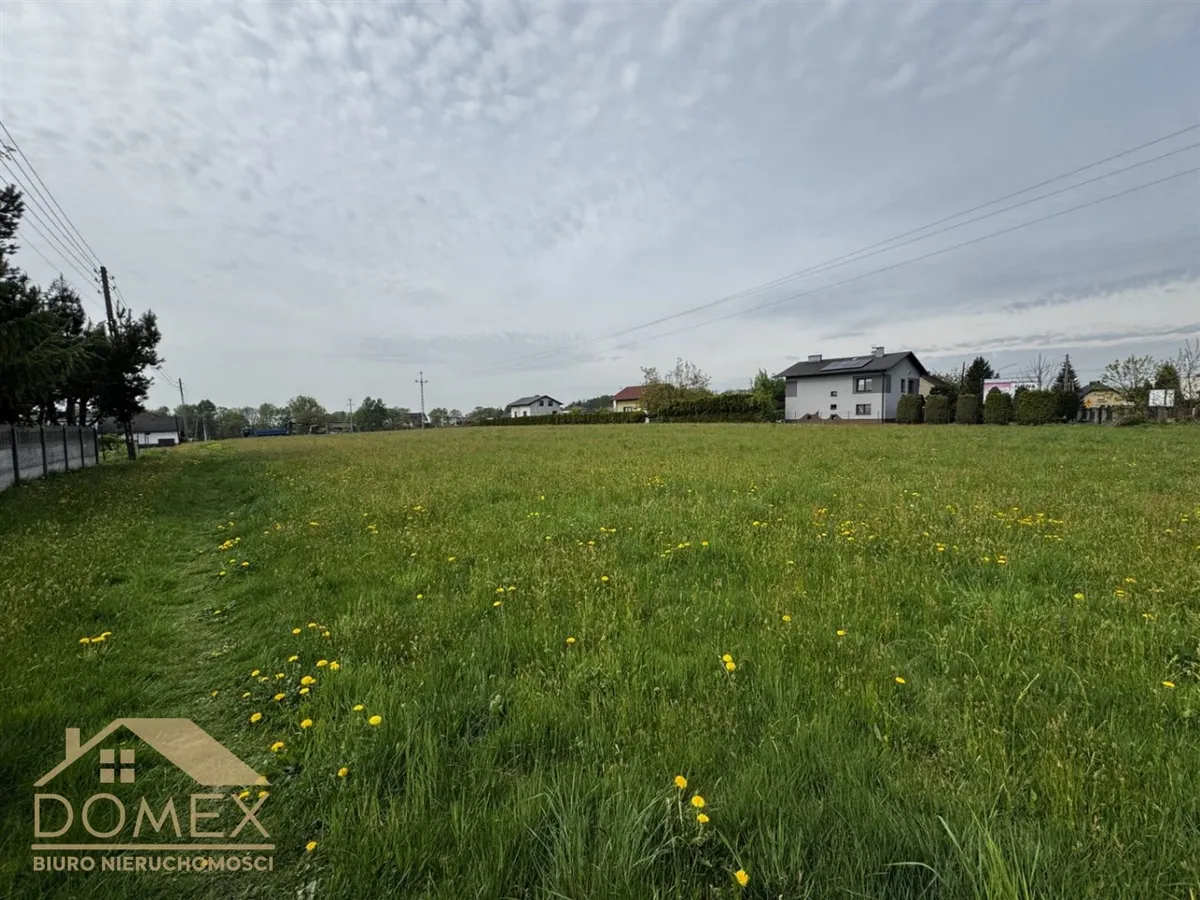 Działka 7530 m² - Wodzisław Śląski - zdjecie 3
