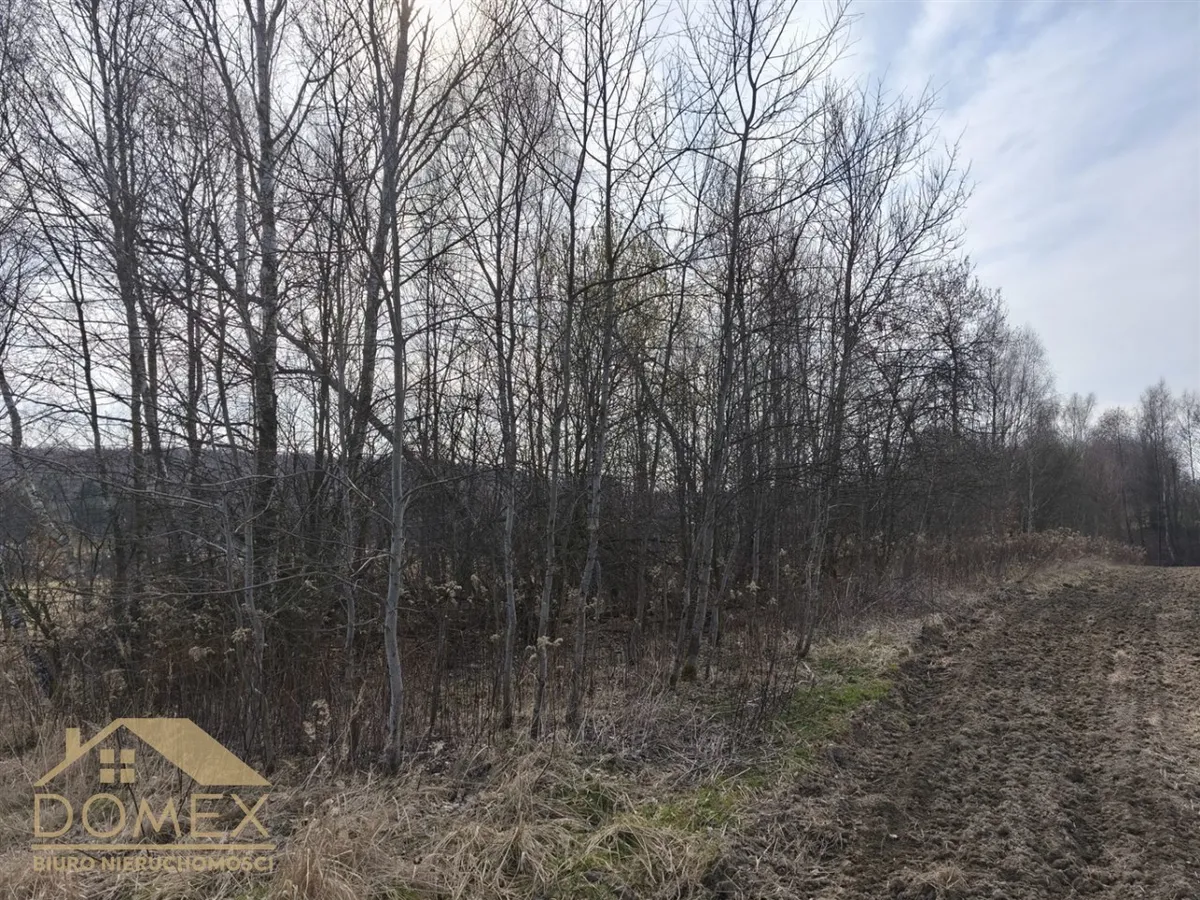 Działka 3467 m² - Wodzisław Śląski - zdjecie 3