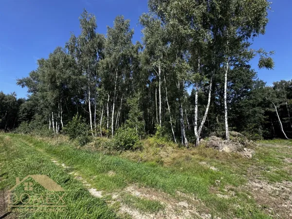 Działka 5429 m² - Wodzisław Śląski, Kokoszyce