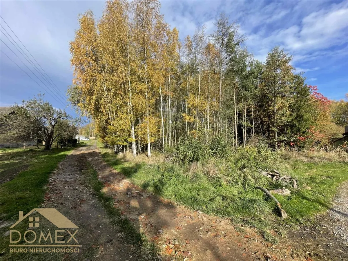 Działka 1089 m² - Zebrzydowice, Kończyce Małe - zdjecie 2