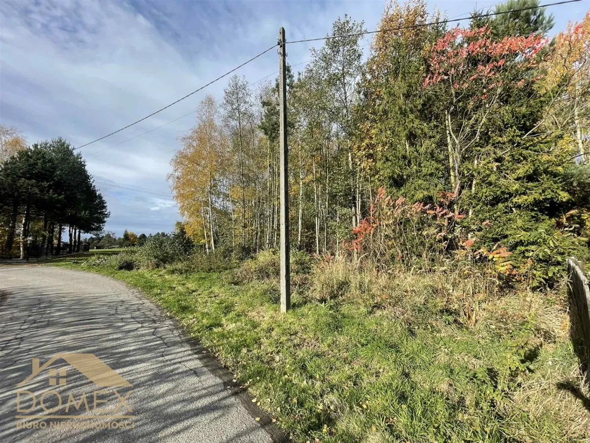 Działka 1089 m² - Zebrzydowice, Kończyce Małe - zdjecie 3